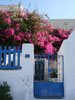 Santorin4